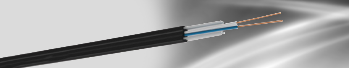 CABLE ACOMETIDA ACEV-170