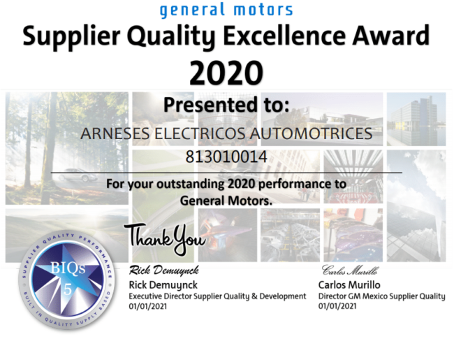 reconocimiento-supplier-quality-excellence-award-2020